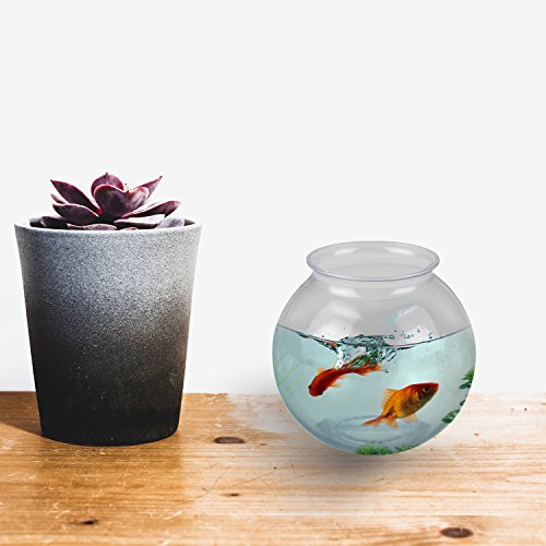 16 Oz Plastic Fish Bowl (6 Pack) 4 Inch Heavy Duty Plastic Ivy Bowls, –  JoyServe